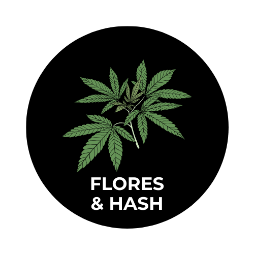 FLORES & HASH